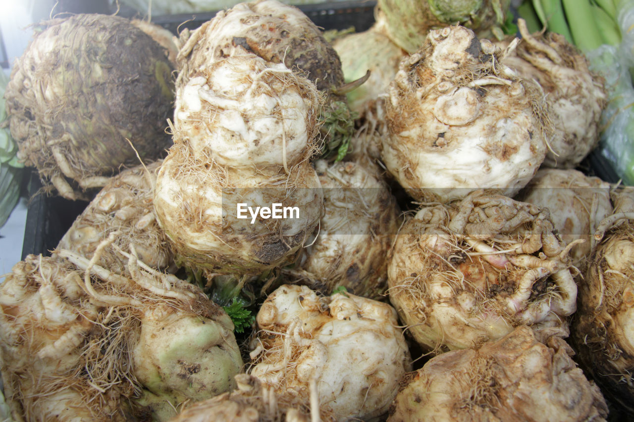 CLOSE-UP OF VEGETABLES FOR SALE IN MARKET