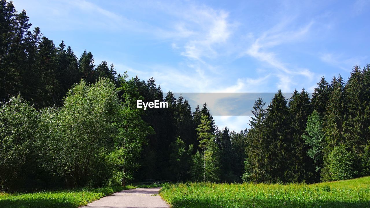 Road amidst trees and plants against sky