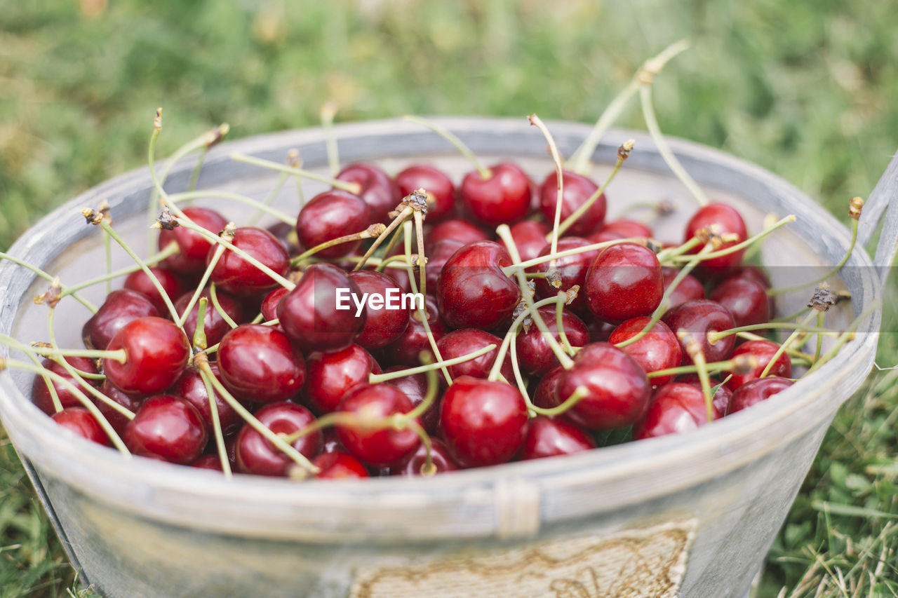 Close-up of fresh red cherries in a basket