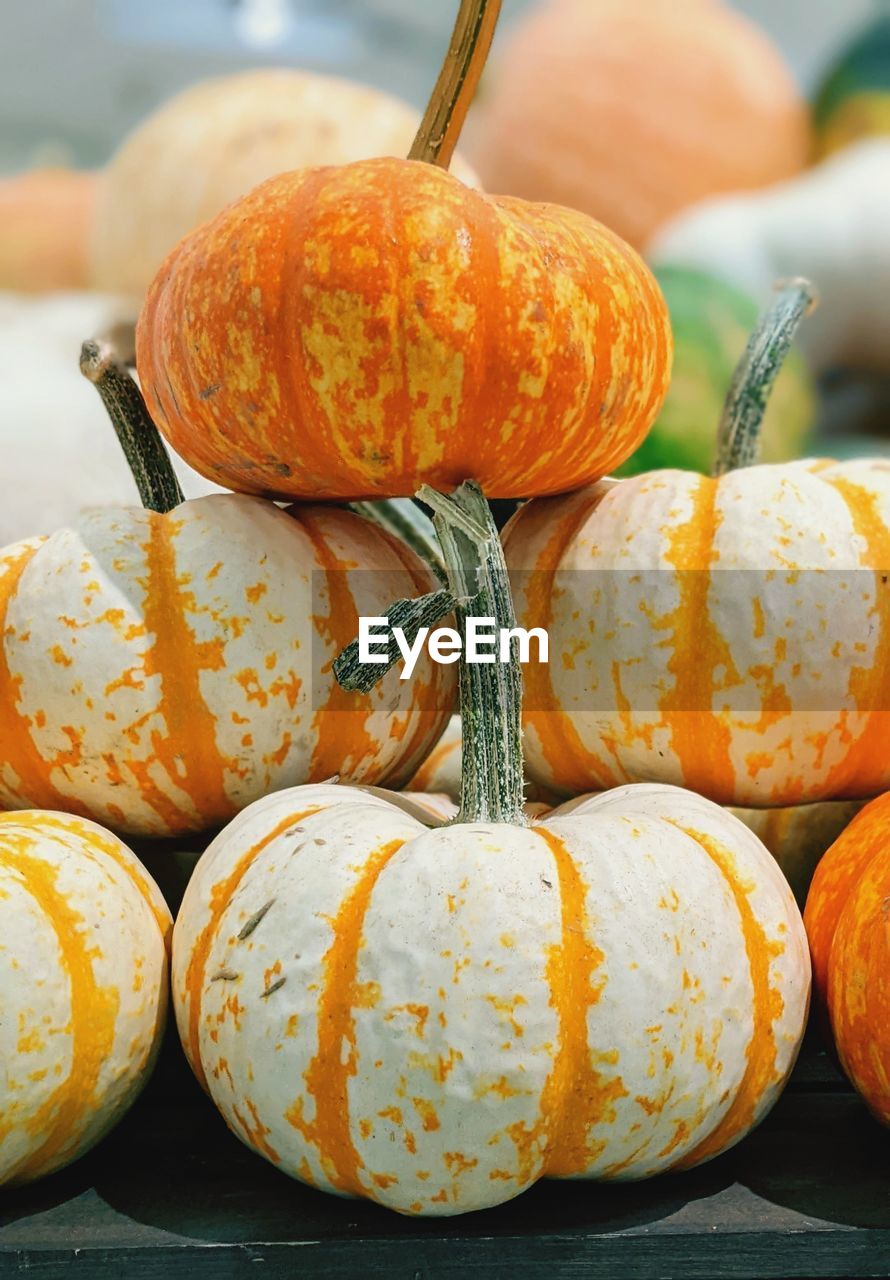 food, food and drink, pumpkin, healthy eating, winter squash, freshness, vegetable, autumn, orange color, wellbeing, celebration, produce, no people, halloween, gourd, squash - vegetable, close-up, holiday, squash, focus on foreground, still life, nature, fruit, organic, agriculture, outdoors