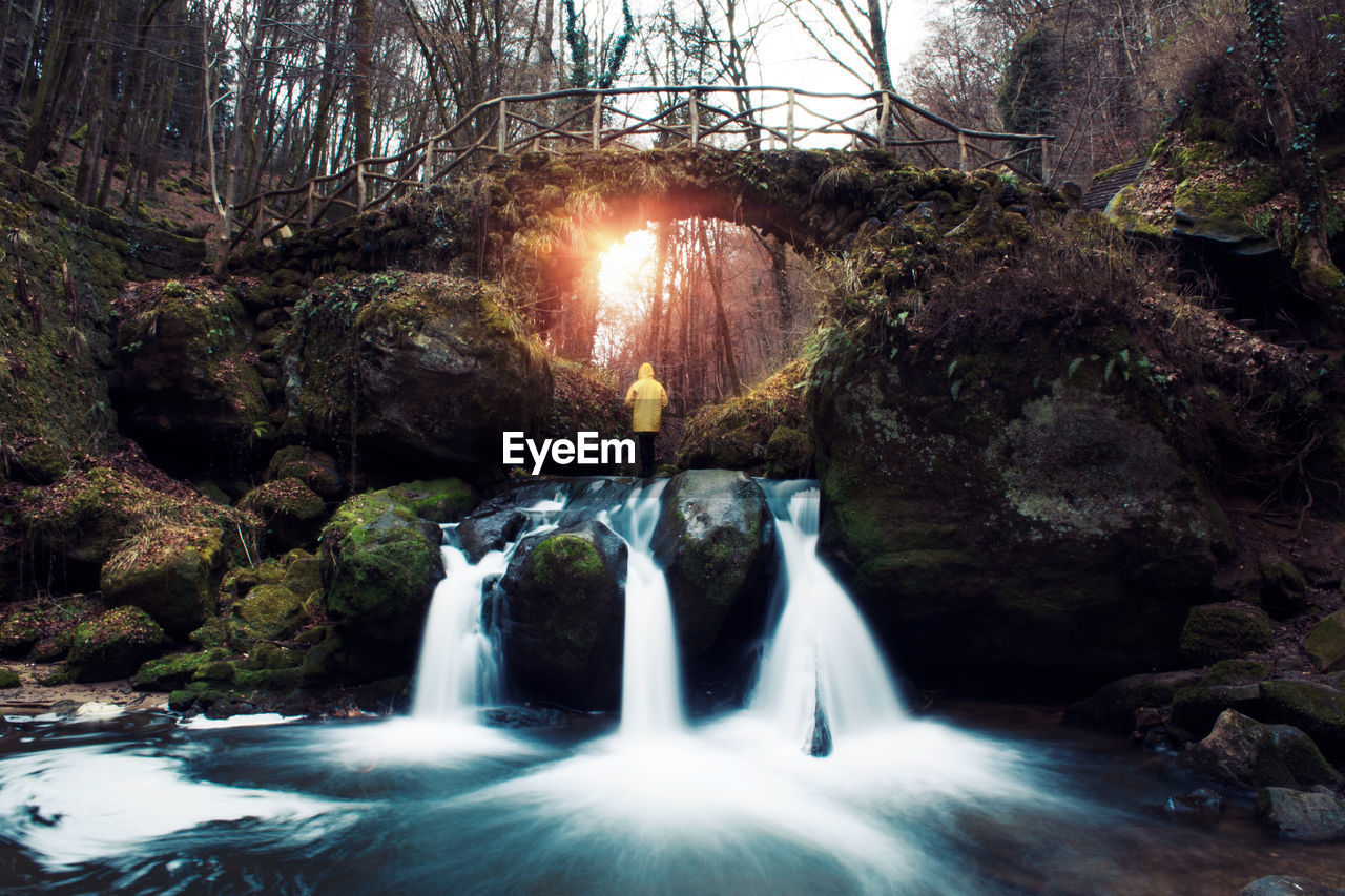 View of waterfall against trees