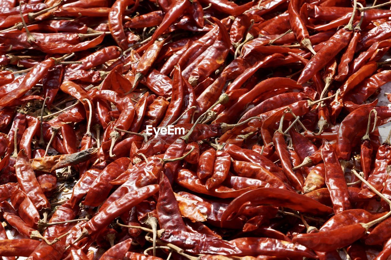 Red chili pepper of healthy eating vegetable kept in the sunlight for drying.