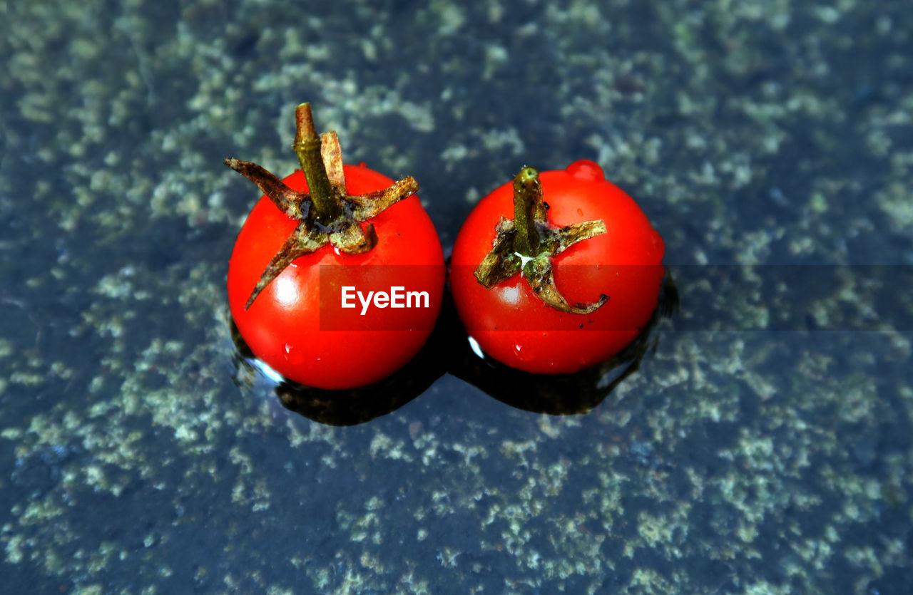 High angle view of tomatoes on water