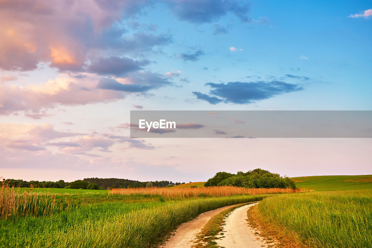 landscape, sky, environment, field, horizon, rural scene, land, cloud, plant, agriculture, morning, nature, grassland, prairie, beauty in nature, plain, scenics - nature, cereal plant, crop, grass, road, rural area, tranquility, meadow, farm, no people, food, summer, the way forward, barley, food and drink, tranquil scene, blue, horizon over land, outdoors, dirt, hill, sunlight, green, dirt road, footpath, diminishing perspective, dawn, growth, idyllic, tree, corn, sunrise, social issues, transportation, non-urban scene, sun, multi colored, rapeseed, cloudscape, urban skyline, springtime, travel, vanishing point, freshness, environmental conservation, vibrant color, natural environment, paddy field, steppe, day, in a row, twilight