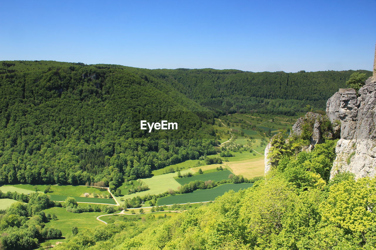 Scenic view of trees on field against sky