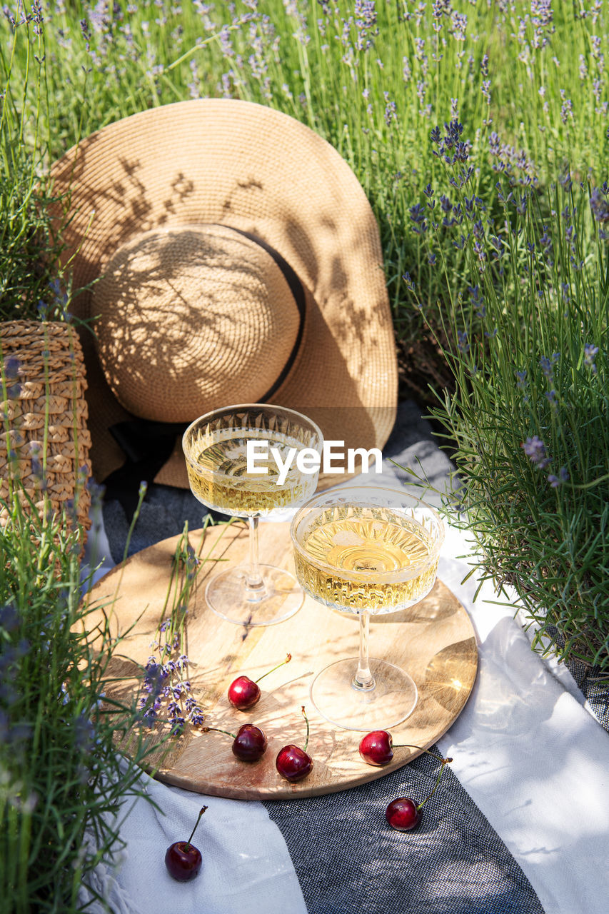 Summer picnic on a lavender field with champagne glasses and cherry berries