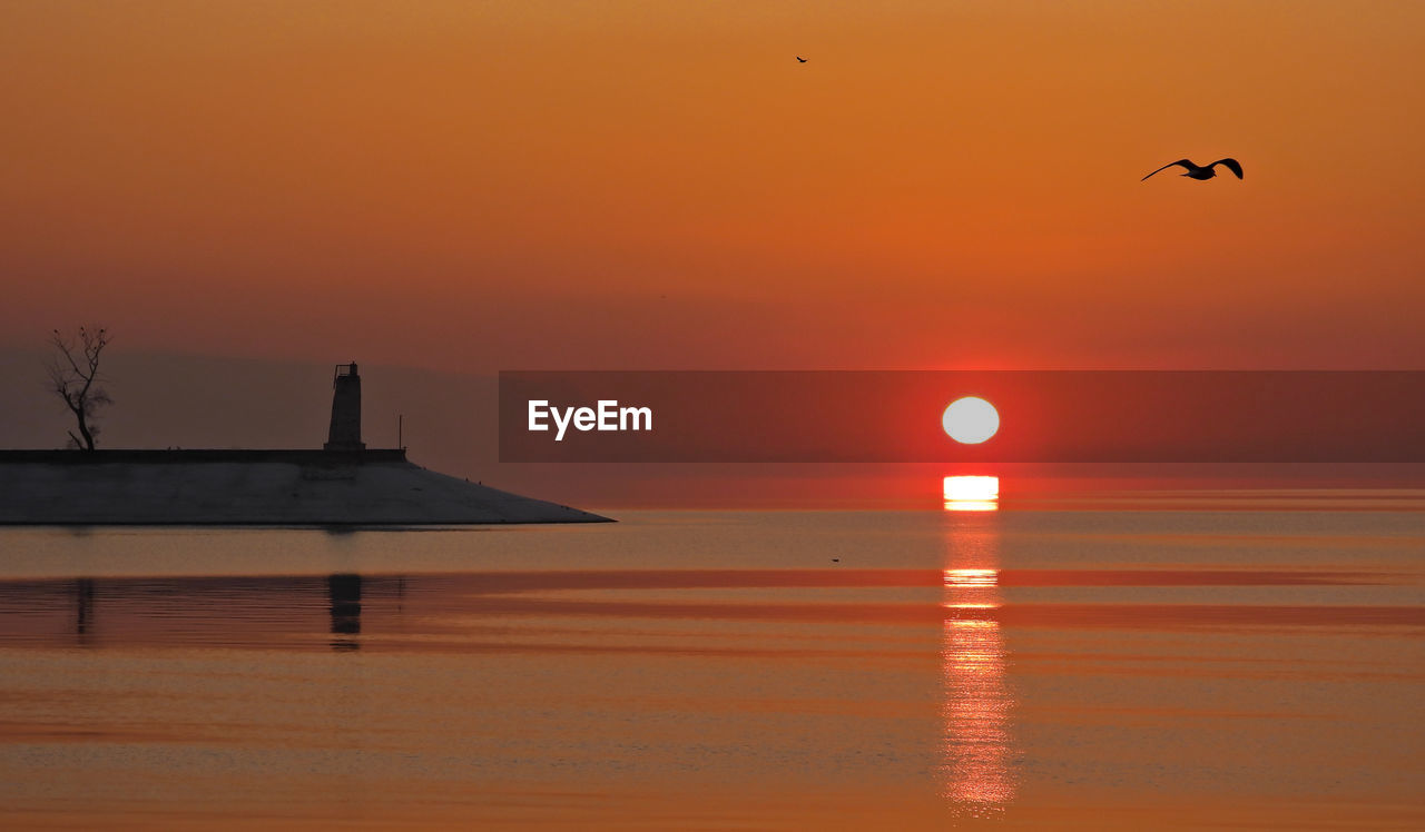 BIRD FLYING OVER SEA