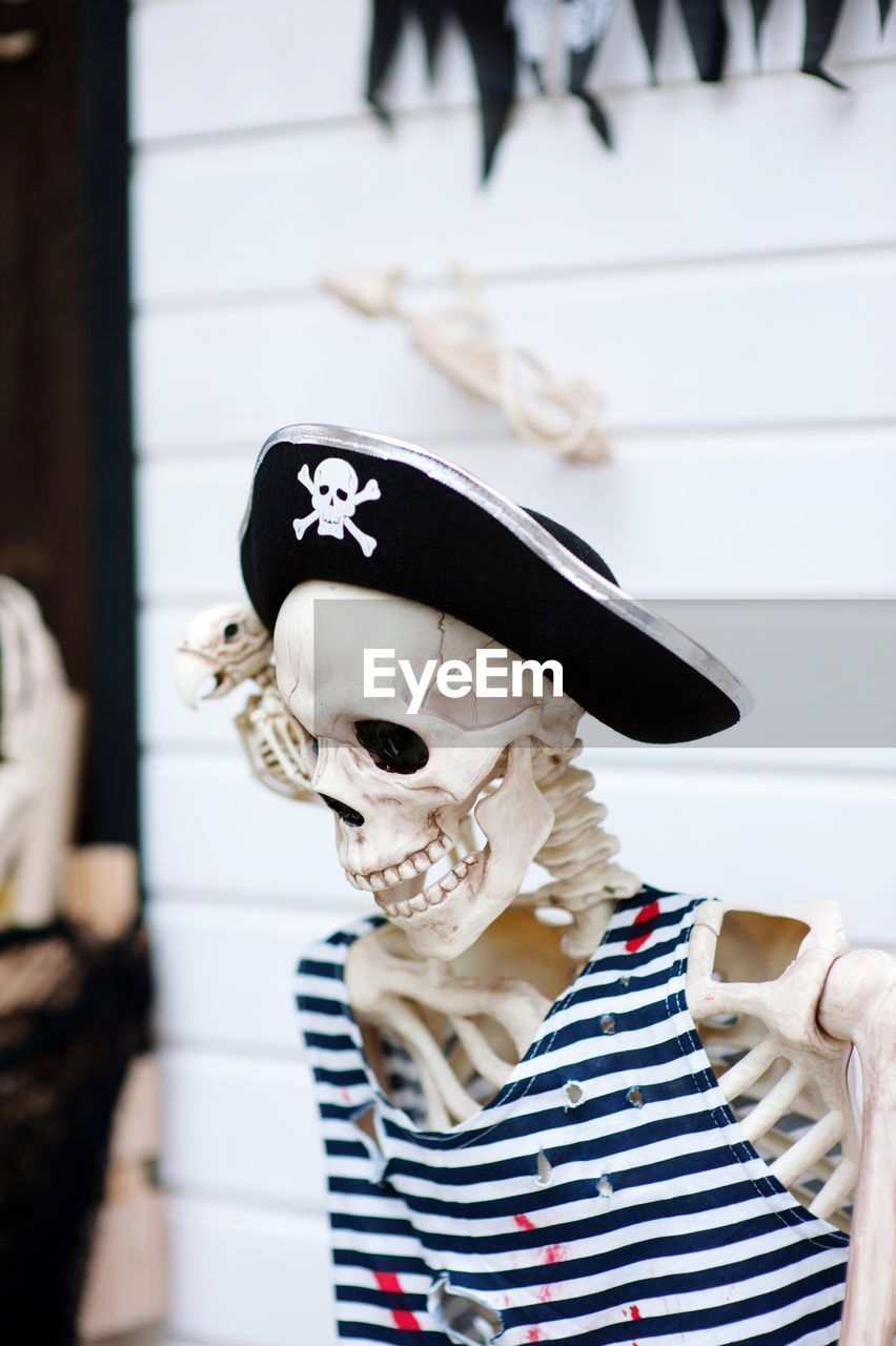Skeleton with pirate hat