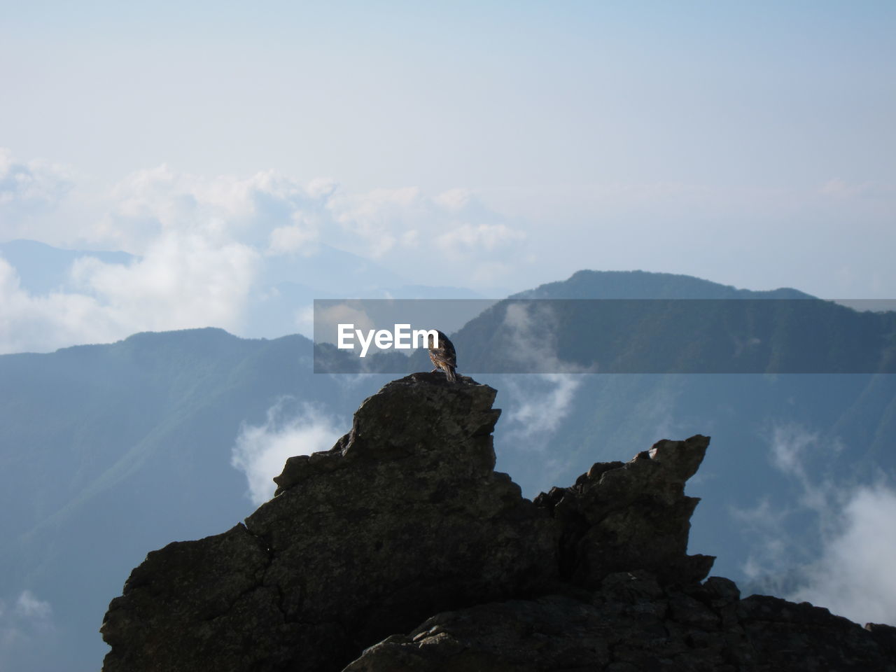 A bird on a rock nearby the route for the top of mt. kitadake