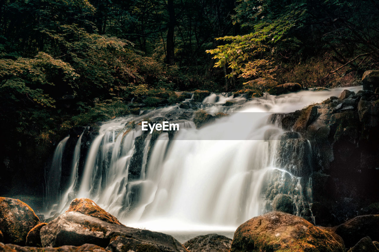 View of scenic waterfall against trees