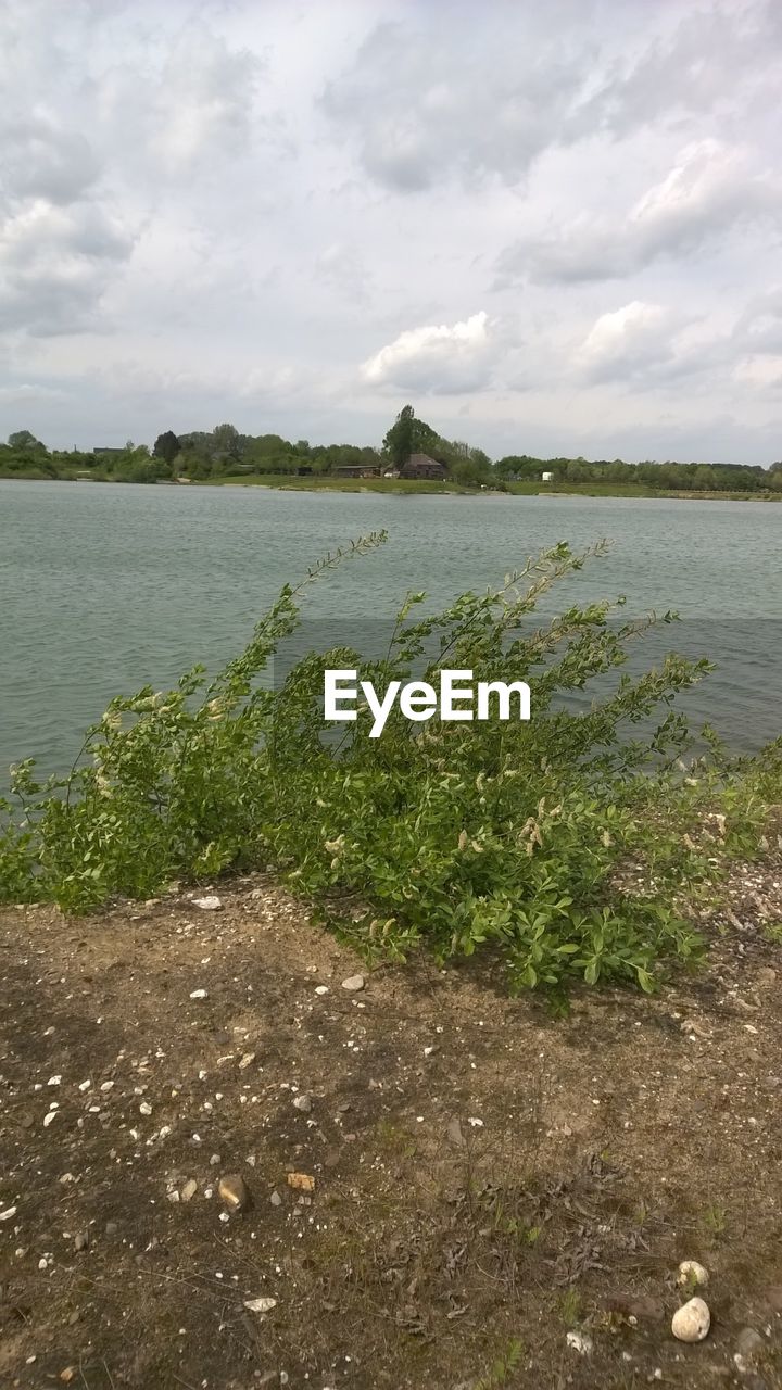 SCENIC VIEW OF BEACH