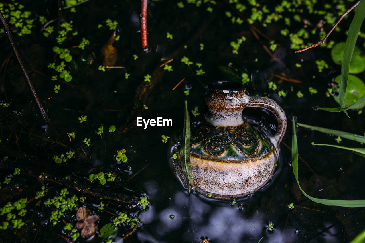 HIGH ANGLE VIEW OF A TURTLE IN THE LAKE