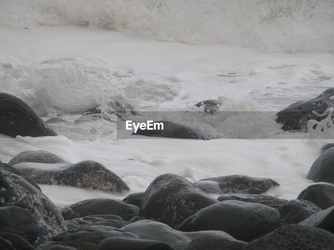 CLOSE-UP OF CRAB ON BEACH