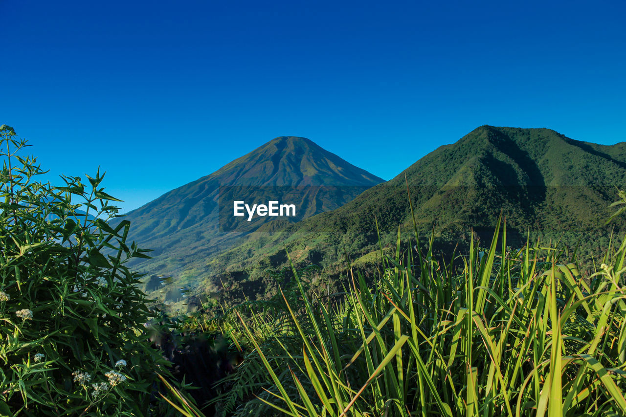 Scenic view of mountains against clear blue sky