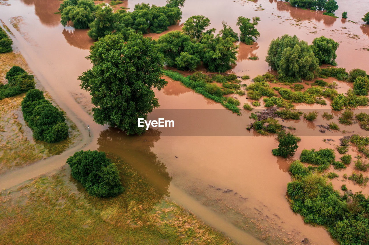 plant, water, tree, nature, environment, aerial photography, soil, land, landscape, scenics - nature, aerial view, no people, beauty in nature, high angle view, natural environment, river, outdoors, green, travel, architecture, day, growth, sand, tranquility, beach, travel destinations