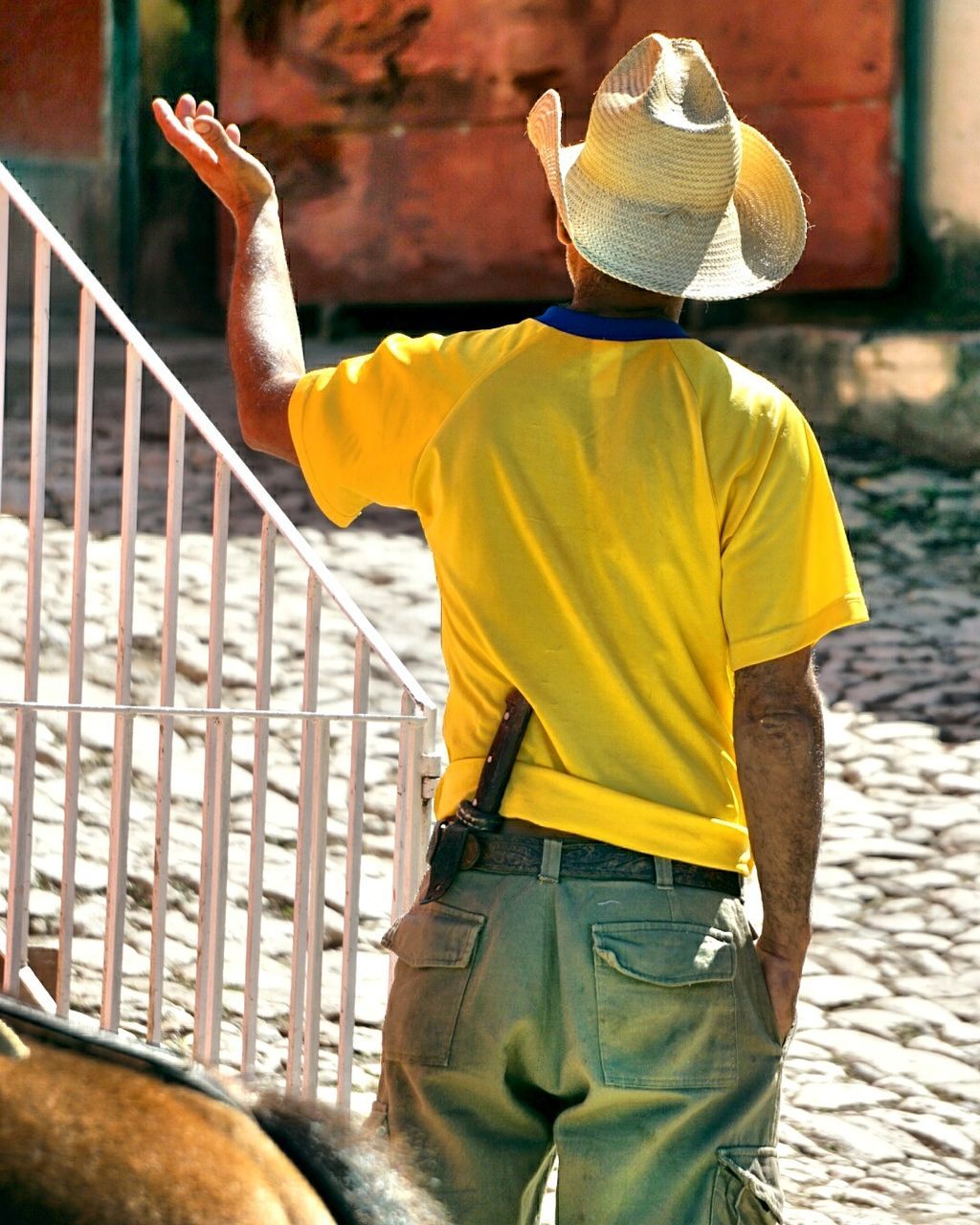 REAR VIEW OF MAN IN YELLOW BIRD