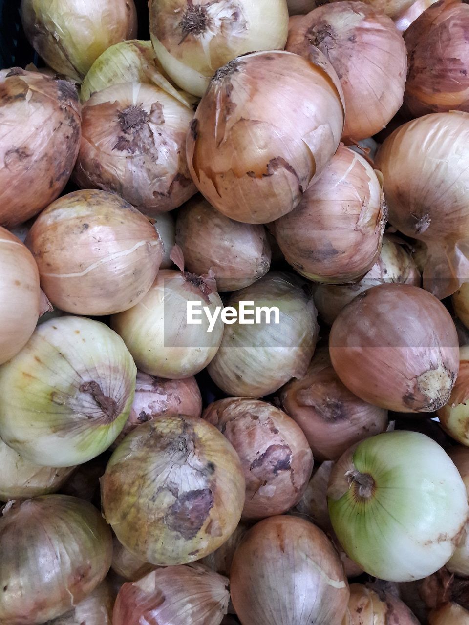 FULL FRAME SHOT OF POTATOES