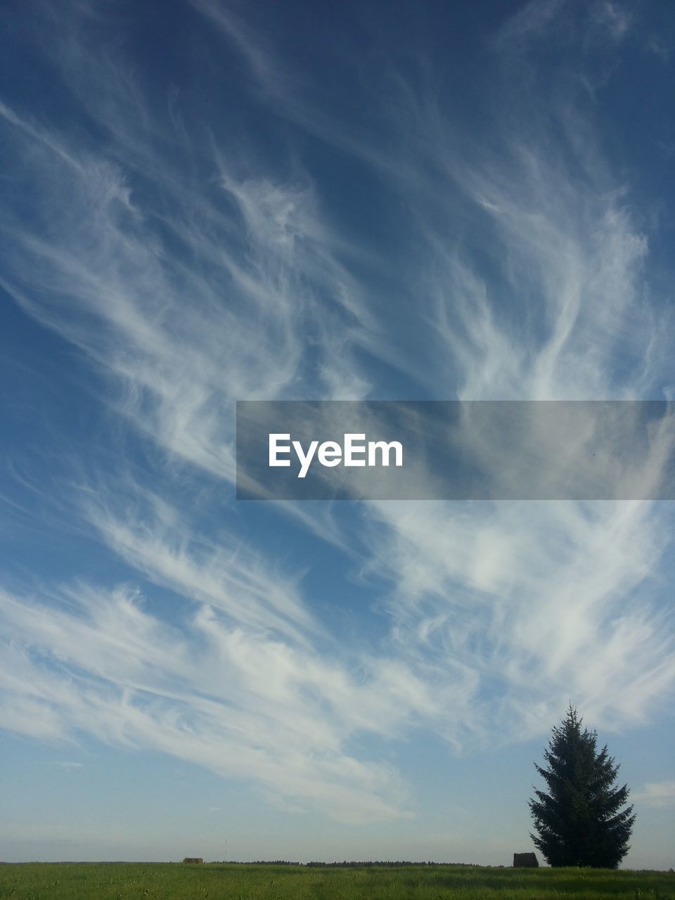 TREES ON FIELD AGAINST CLOUDY SKY