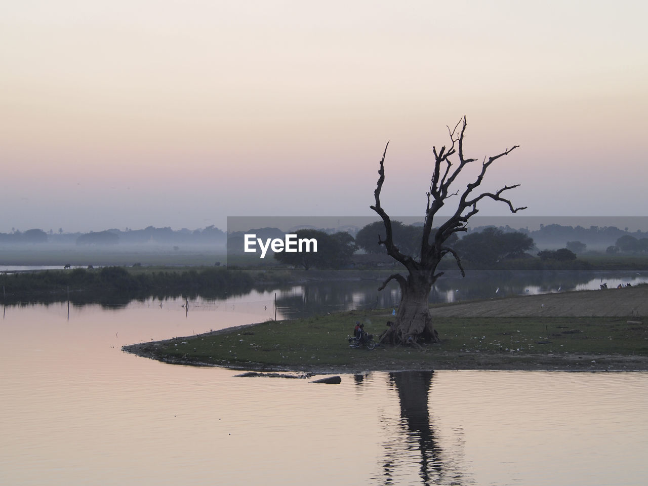 Bare tree by lake against sky during sunset