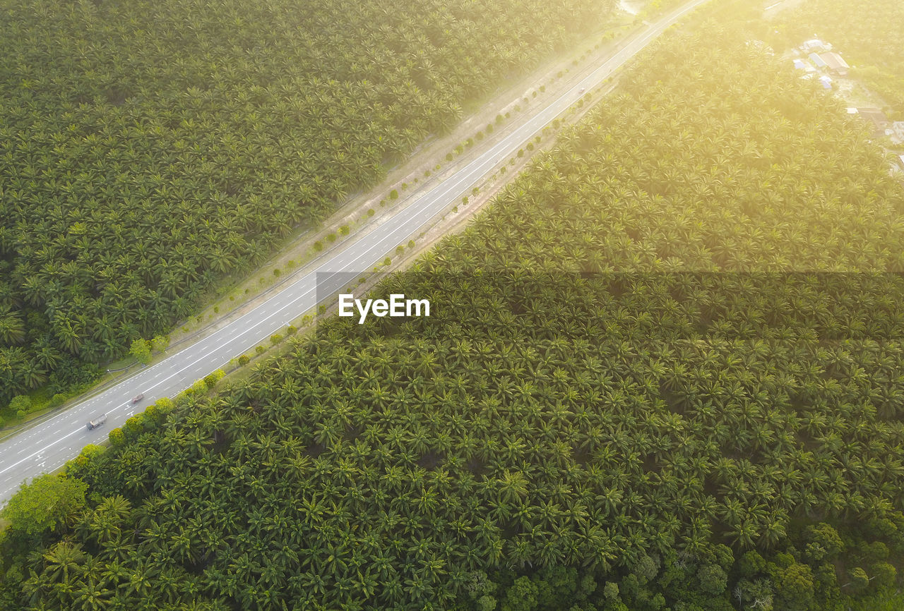 Aerial view of road amidst field