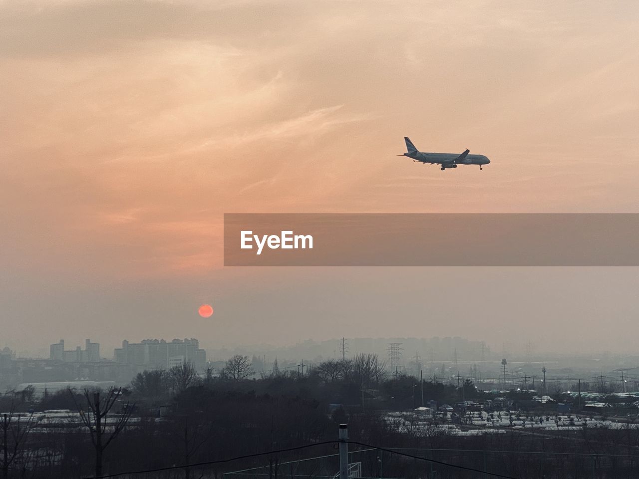 AIRPLANE FLYING IN SKY