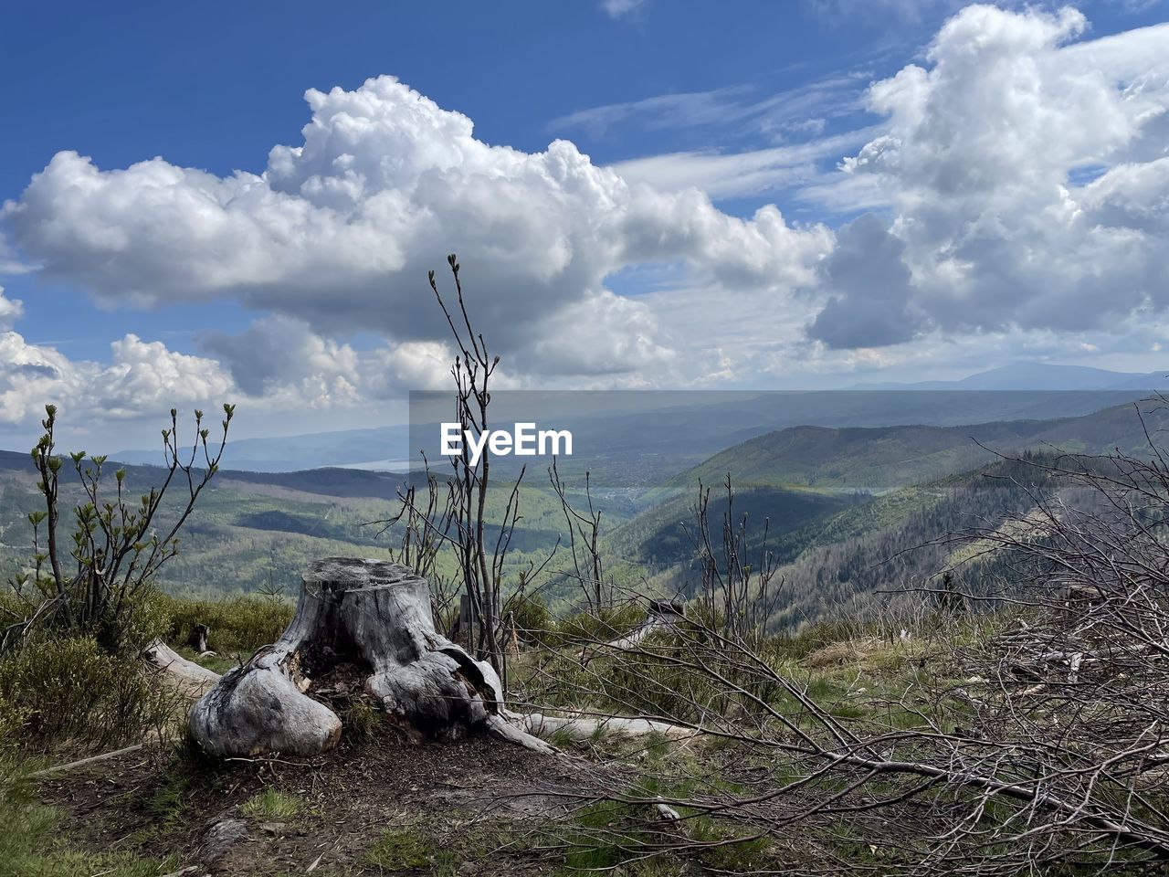 VIEW OF A HORSE ON MOUNTAIN AGAINST SKY