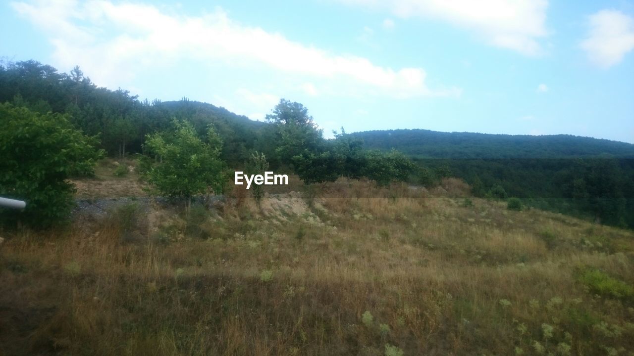 SCENIC VIEW OF LANDSCAPE AGAINST CLOUDY SKY