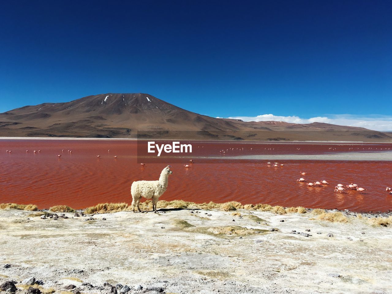 SCENIC VIEW OF DESERT AGAINST SKY