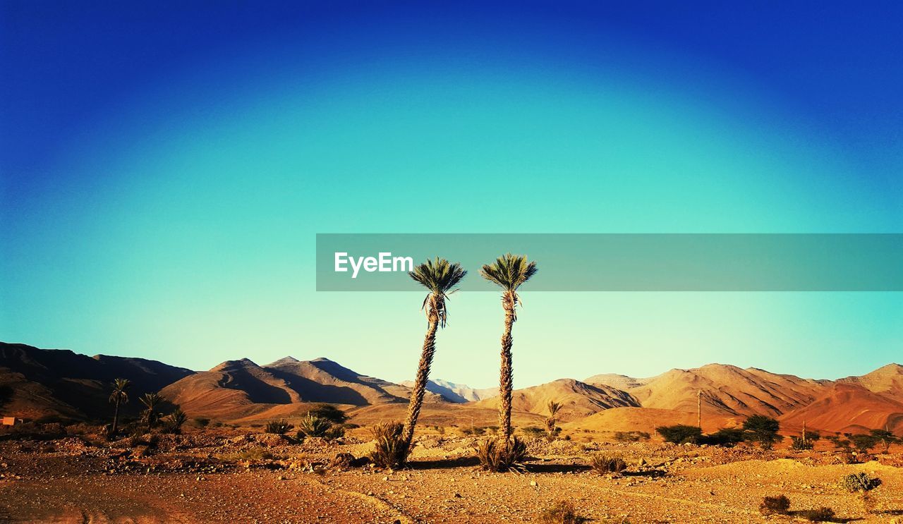 Scenic view of desert against clear blue sky during sunny day