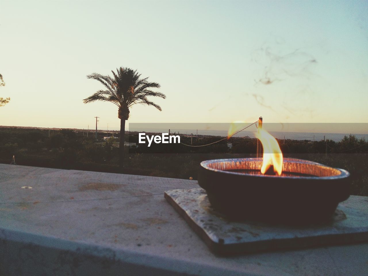 CLOSE-UP OF PALM TREE AGAINST SUNSET