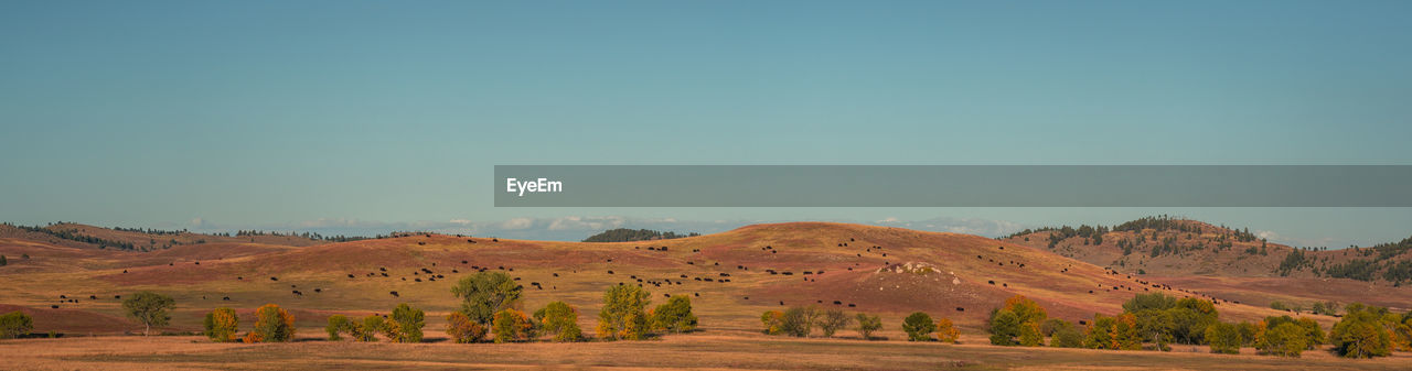 Scenic view of landscape against clear sky