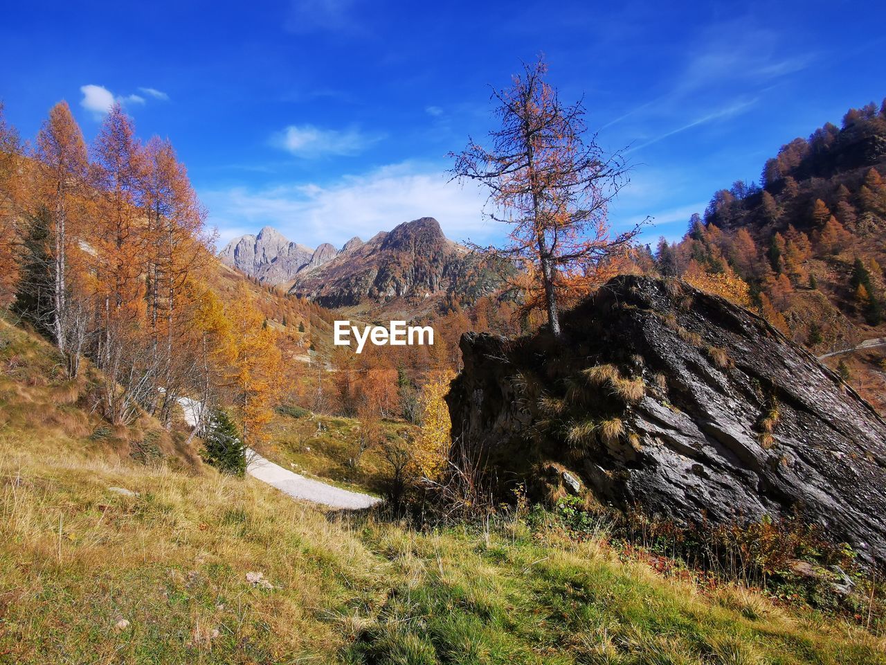 wilderness, scenics - nature, landscape, plant, mountain, sky, environment, beauty in nature, tree, land, nature, autumn, ridge, non-urban scene, mountain range, travel destinations, rock, no people, pine tree, tranquility, tranquil scene, coniferous tree, cloud, travel, forest, pinaceae, pine woodland, grass, trail, blue, outdoors, day, tourism, idyllic, valley, plateau, remote, rock formation, mountain peak, activity, woodland, walking, national park, extreme terrain, sunlight