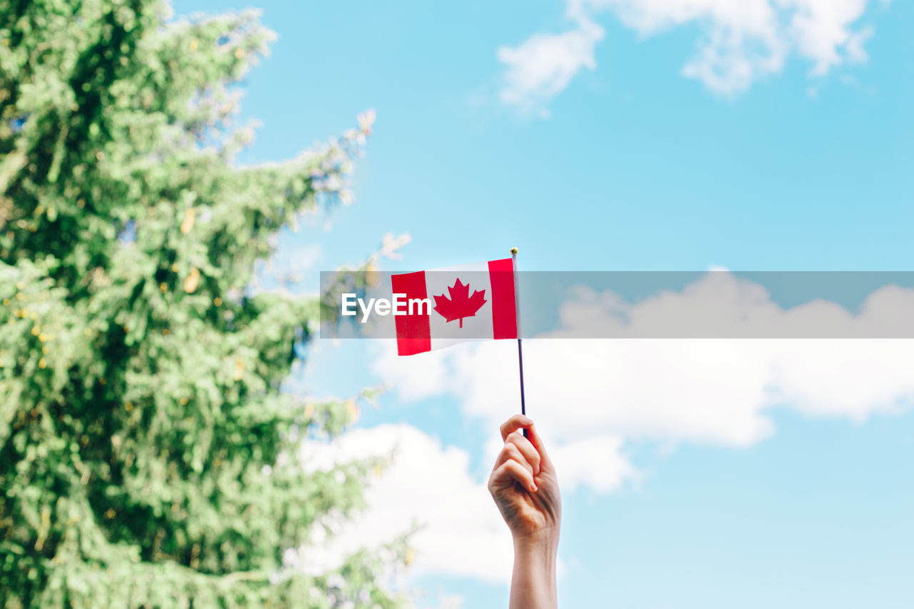  woman human hand arm waving canadian flag against blue sky. celebrating canada day on 1st of july 