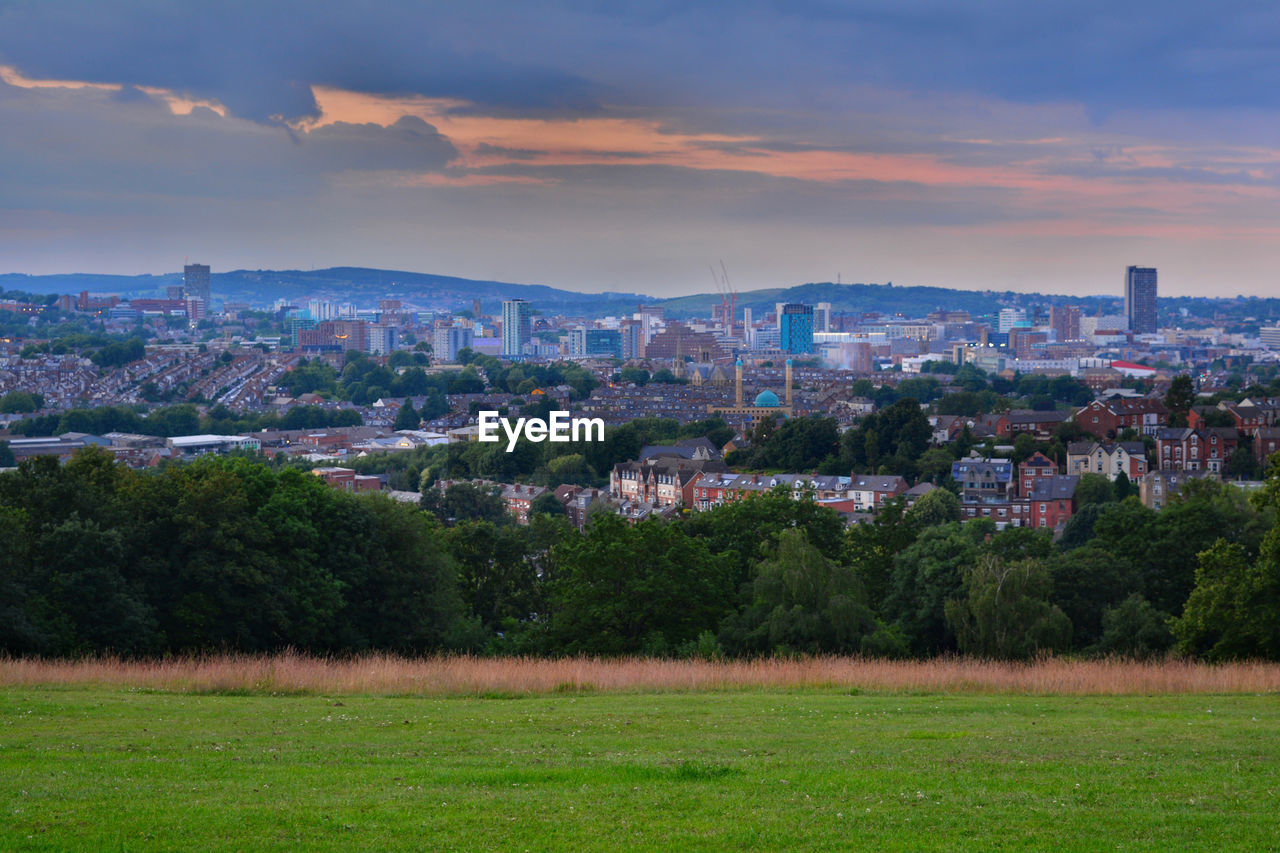 Trees growing on field by buildings against sky in city