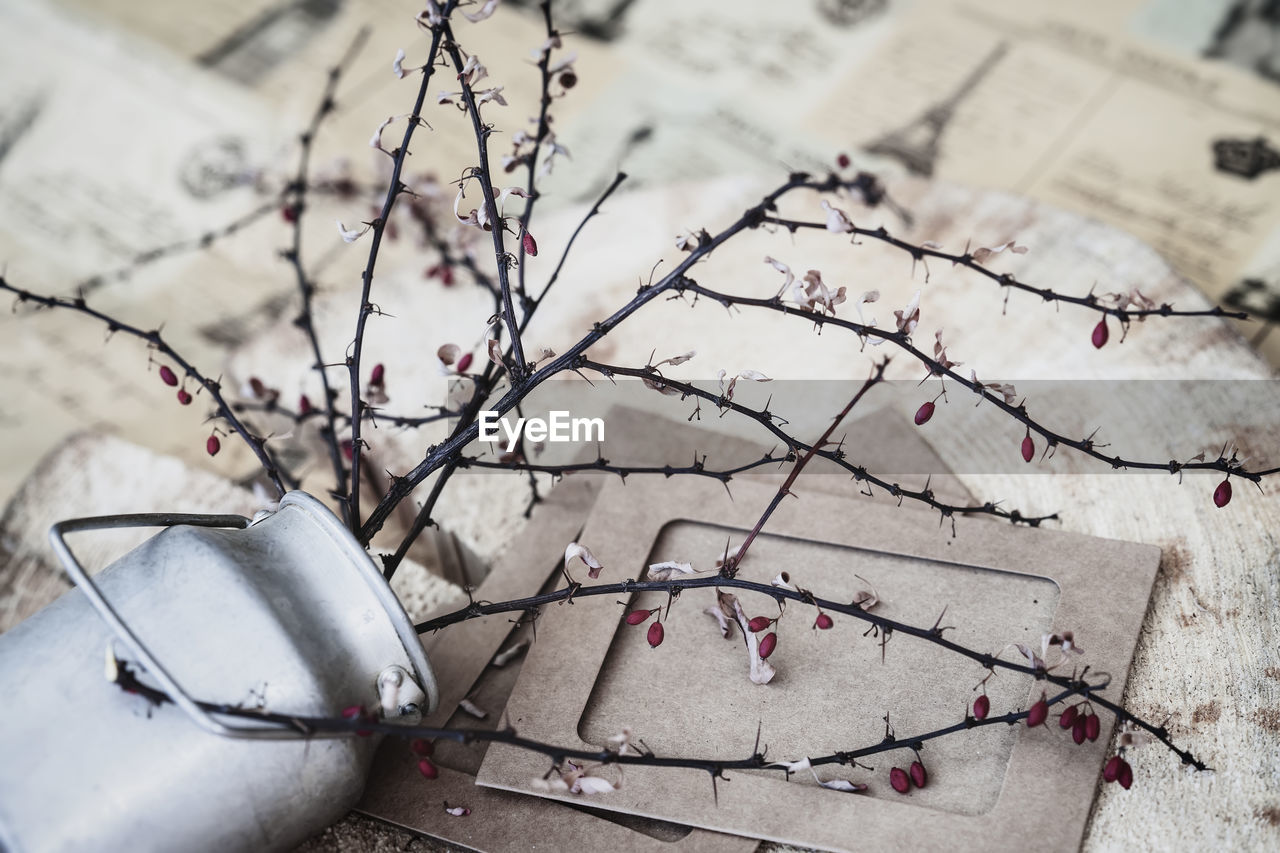 HIGH ANGLE VIEW OF FLOWERING PLANTS ON OLD TABLE