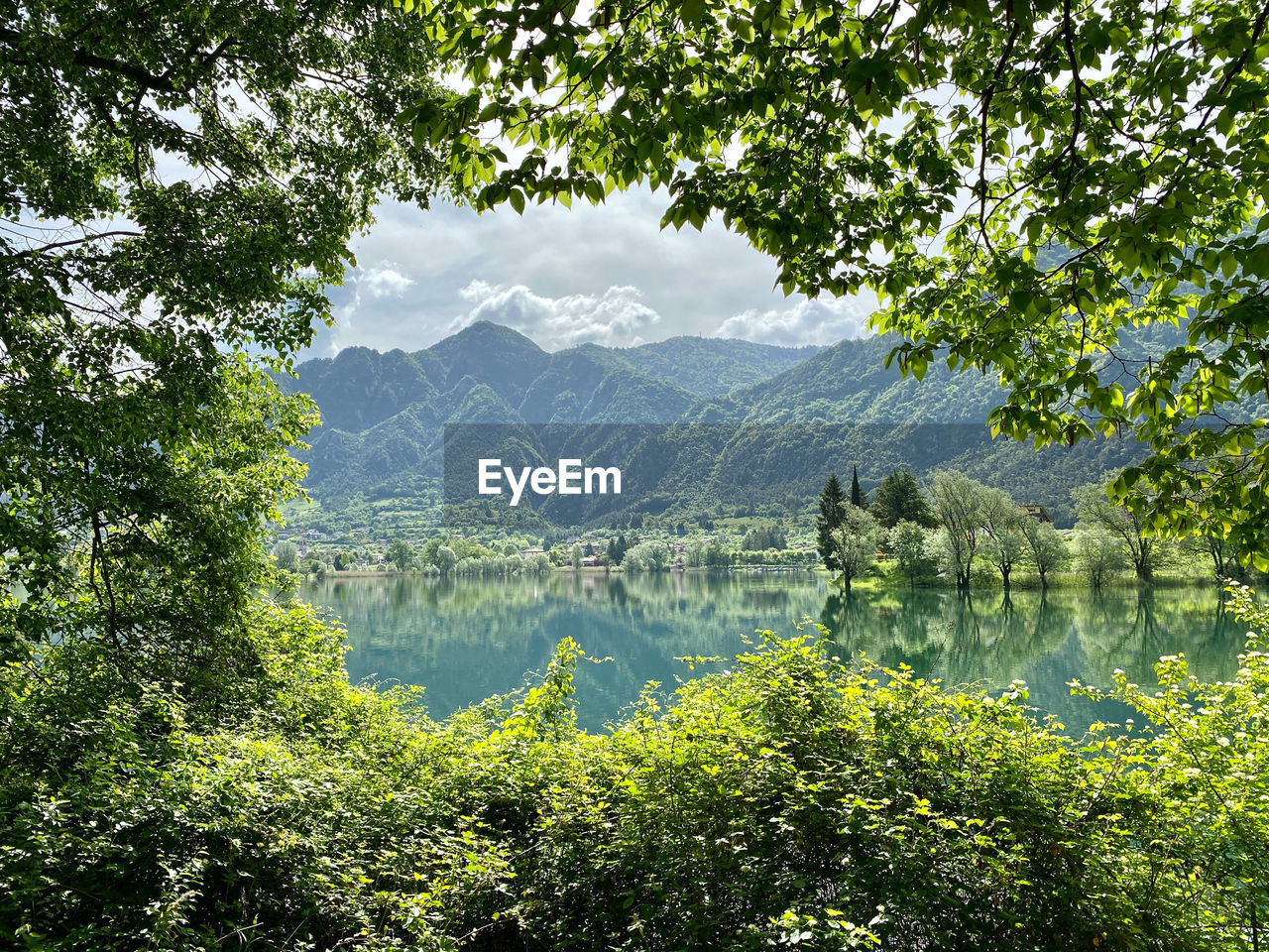 A natural frame of leaves on a lake