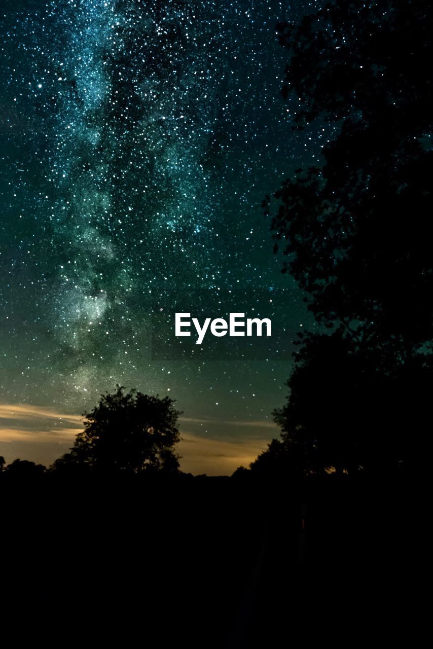 Low angle view of silhouette trees against sky at night