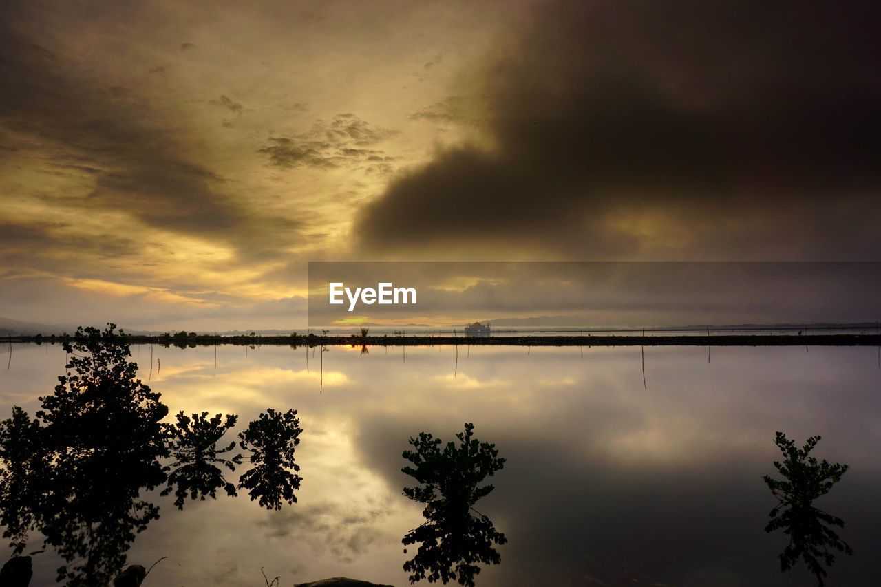 REFLECTION OF SILHOUETTE TREES ON WATER AGAINST SKY