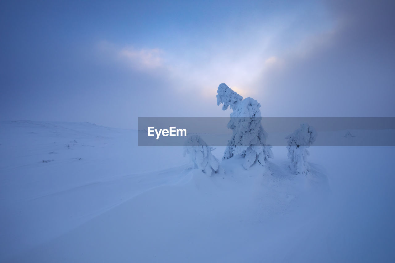 Winter landscape in the apuseni mountains, romania