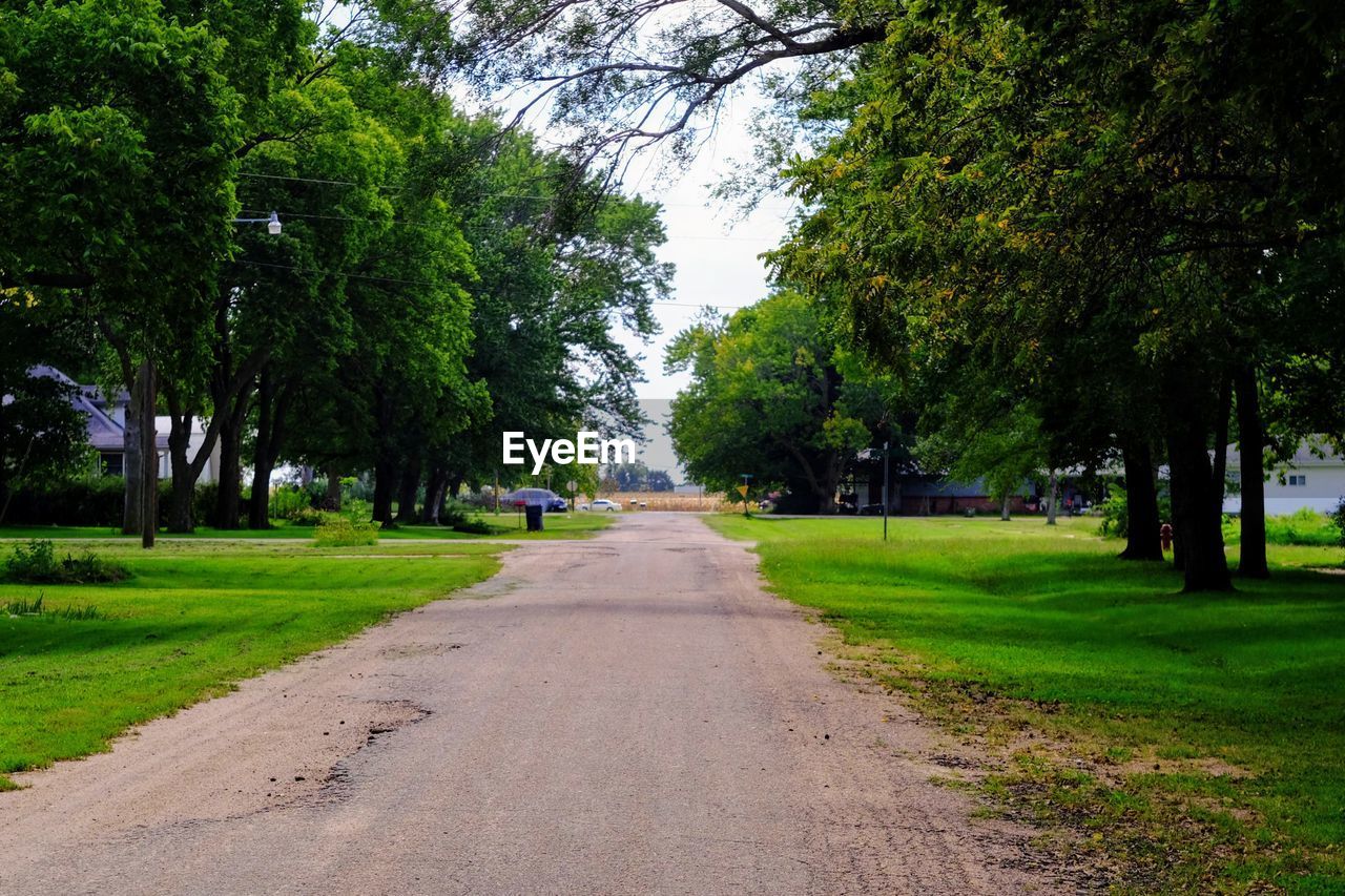 ROAD AMIDST TREES AND PLANTS