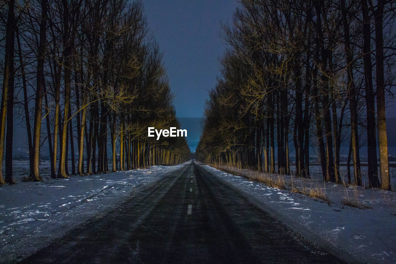 Empty road amidst trees in forest against sky