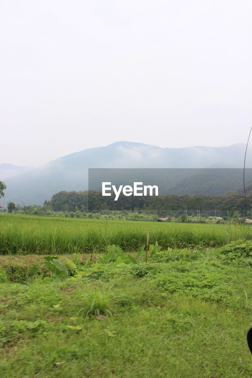 SCENIC VIEW OF LANDSCAPE AND MOUNTAINS AGAINST SKY