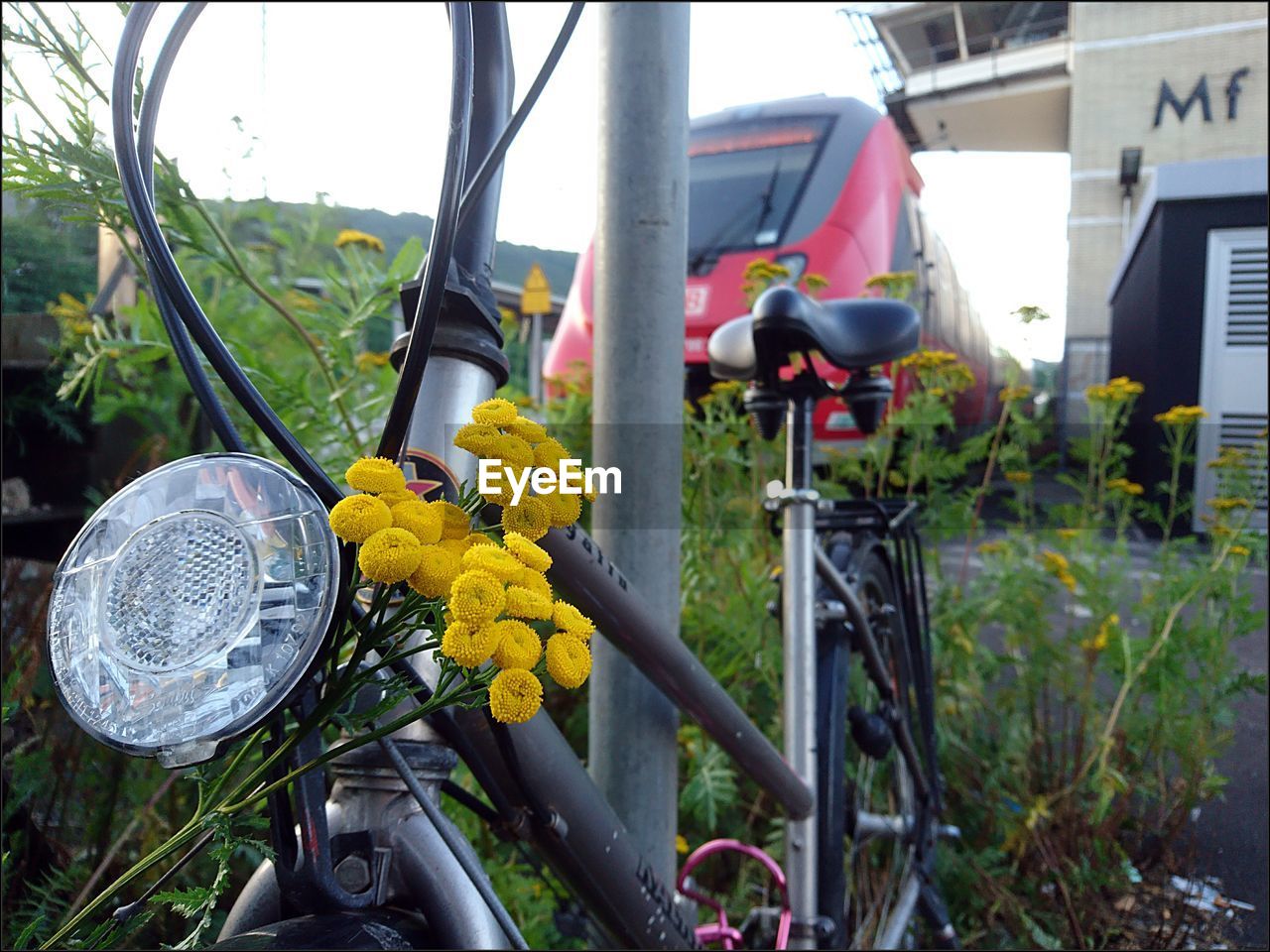 CLOSE-UP OF YELLOW BICYCLE WITH FLOWERS