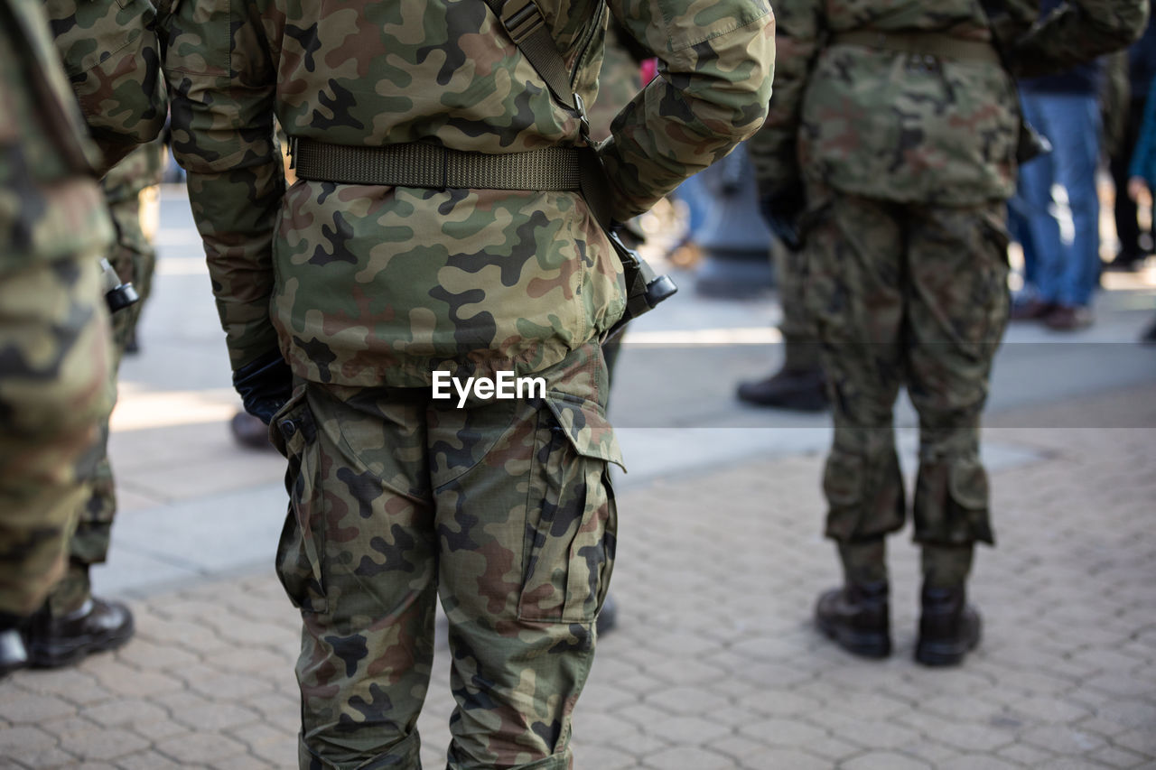 Rear view of soldiers standing in several ranks with weapons.