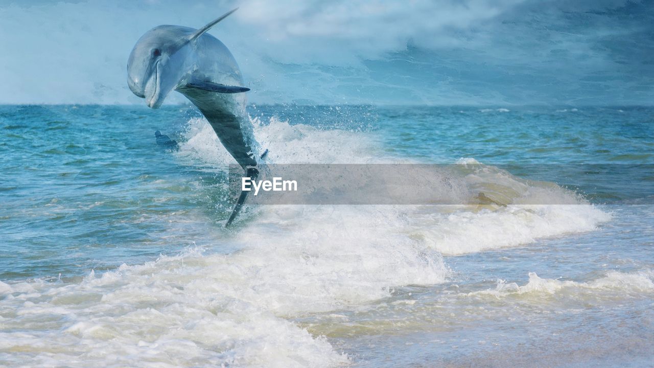 Close-up of dolphin jumping against sky