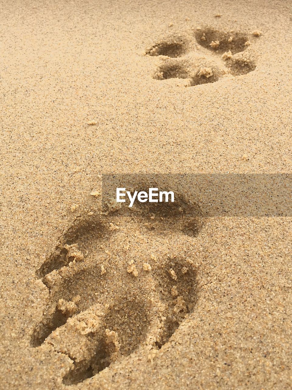 HIGH ANGLE VIEW OF FOOTPRINT ON SAND