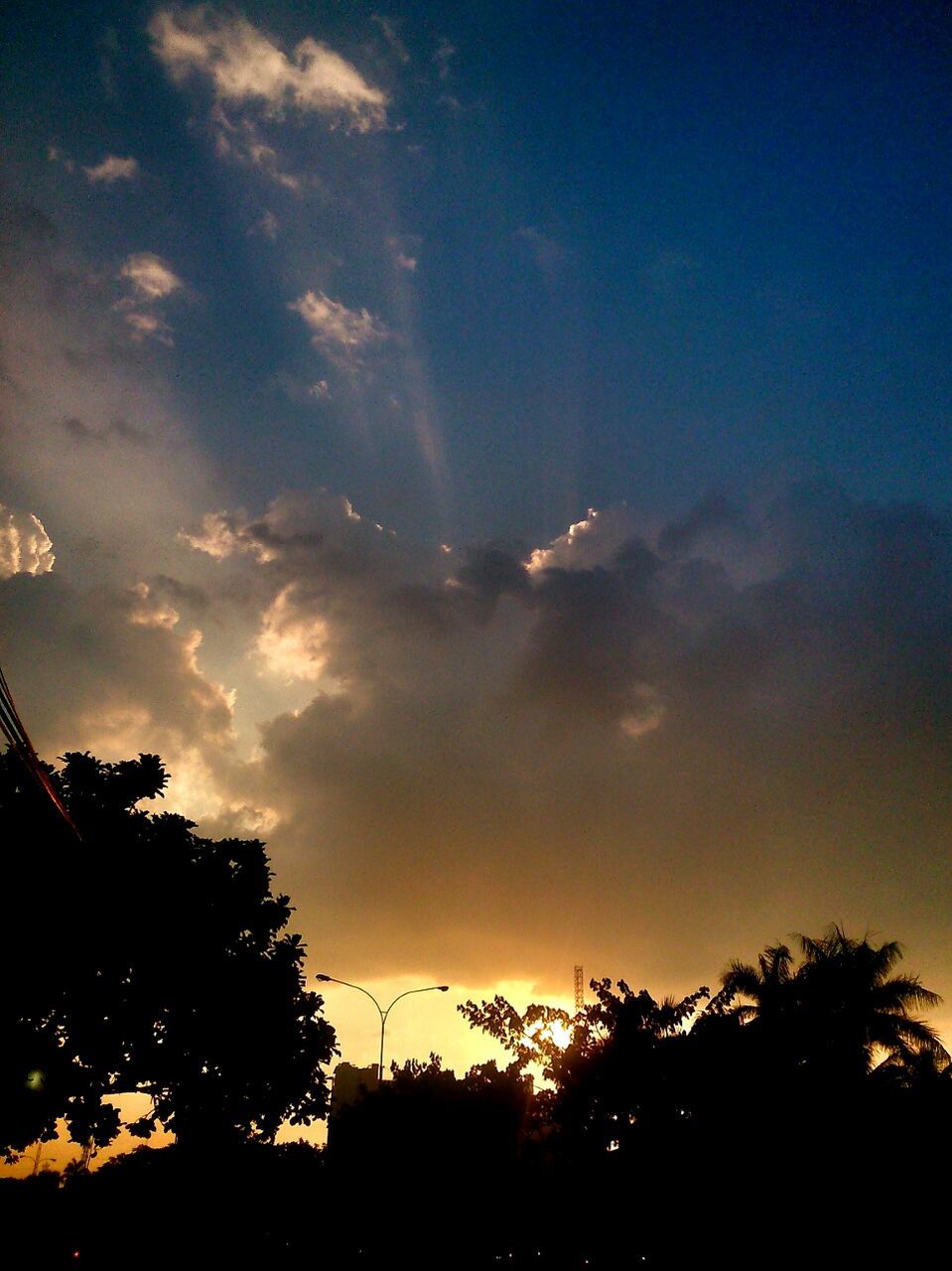 SILHOUETTE OF TREES AGAINST CLOUDY SKY AT SUNSET