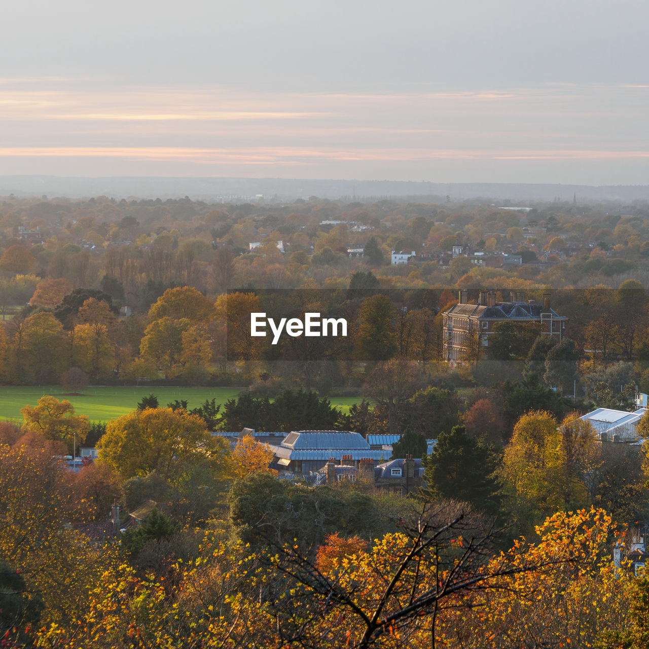 TREES AND LANDSCAPE AGAINST SKY DURING AUTUMN