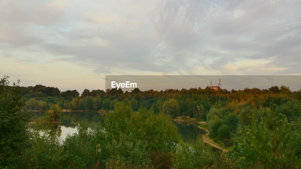 TREES ON LANDSCAPE AGAINST CLOUDY SKY