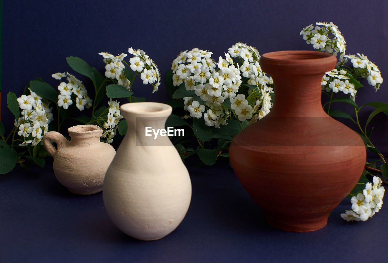 CLOSE-UP OF FLOWERS IN VASE
